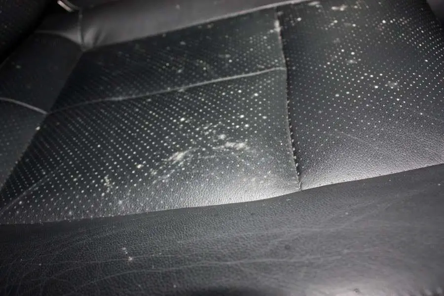 Mold On Car Seats Mold On Car Seats