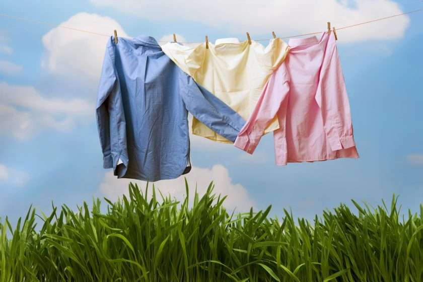 Mold Free Clothes Mold Free Clothes