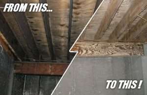 Removing Black Mold From Wooden Surfaces - Let'sRemoveMold.com