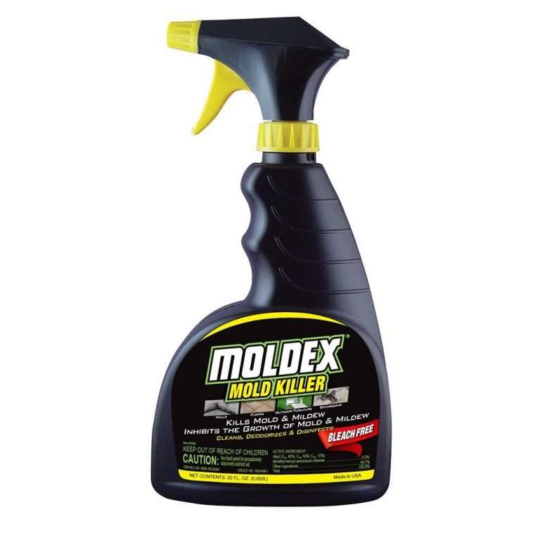 Best Products For Black Mold Removal