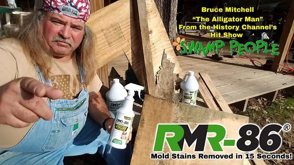 RMR-86 Instant Mold Stain & Mildew Stain Remover Review