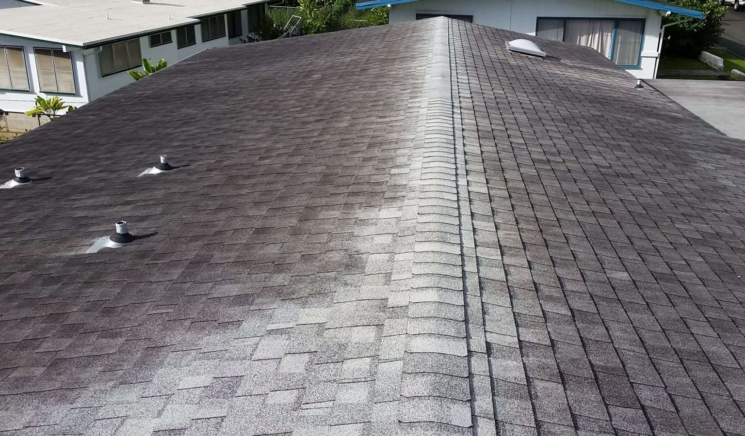 Everything You Need To Know About Mold Removal