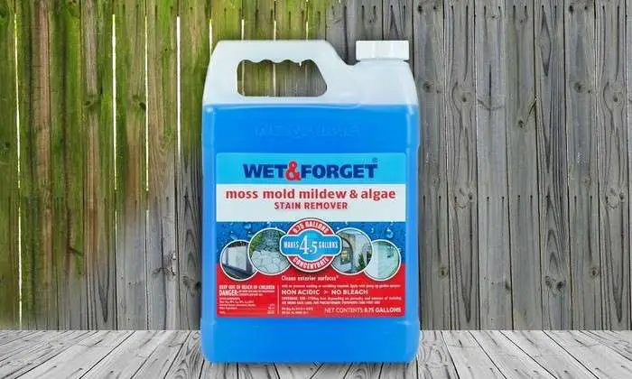 Wet & Forget Moss Remover