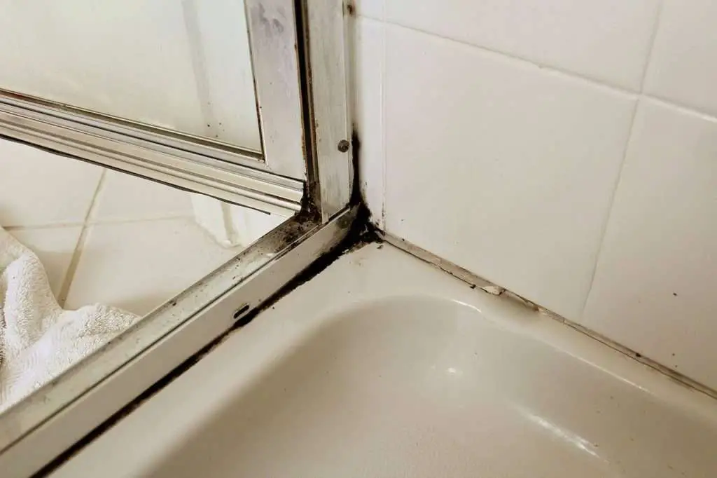 Why Is There Black Mold In My Shower Let Sremovemold Com - How To Get Rid Of Black Mold In Bathroom Floor