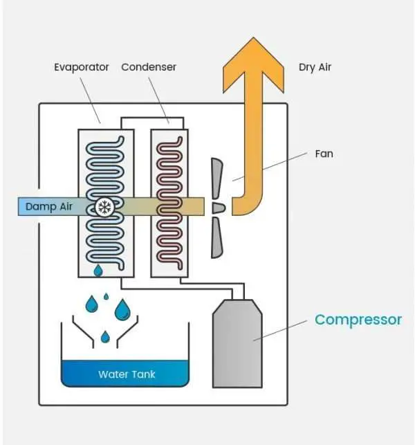 How A Dehumidifier Works