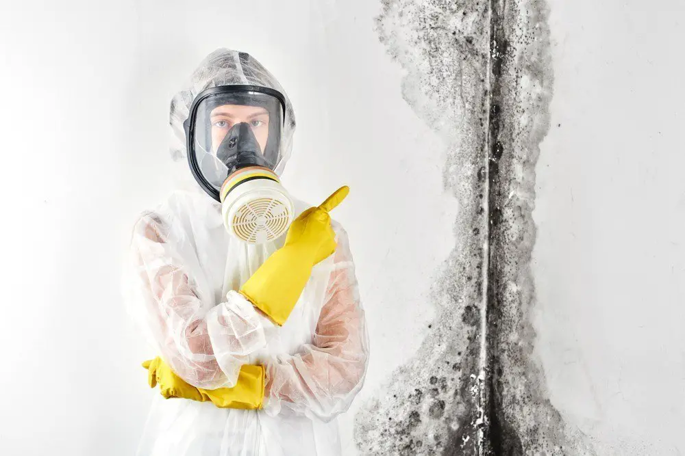 An individual in a hazmat suit stands in a house with mold