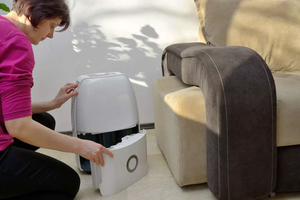 Portable dehumidifier collect water from air inside of living room