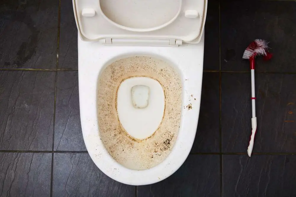 toilet bowel with dirt and mold