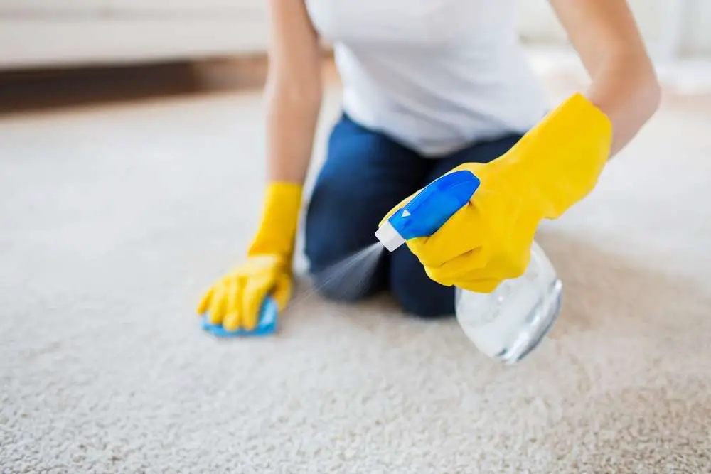 close up of woman in rubber gloves with cloth and derergent spray cleaning carpet at home
