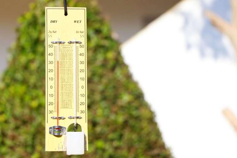 2 Ways For How to Test Humidity Without a Hygrometer