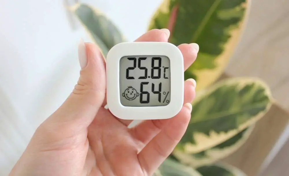 Thermometer hygrometer in hand against the background of a plant for which good humidity and temperature are important. A hand holds a thermometer a hygrometer that shows the humidity and temperature