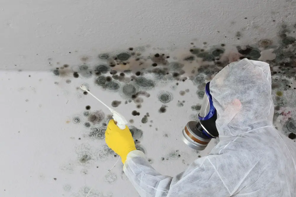 Someone cleaning severe mold in a home.